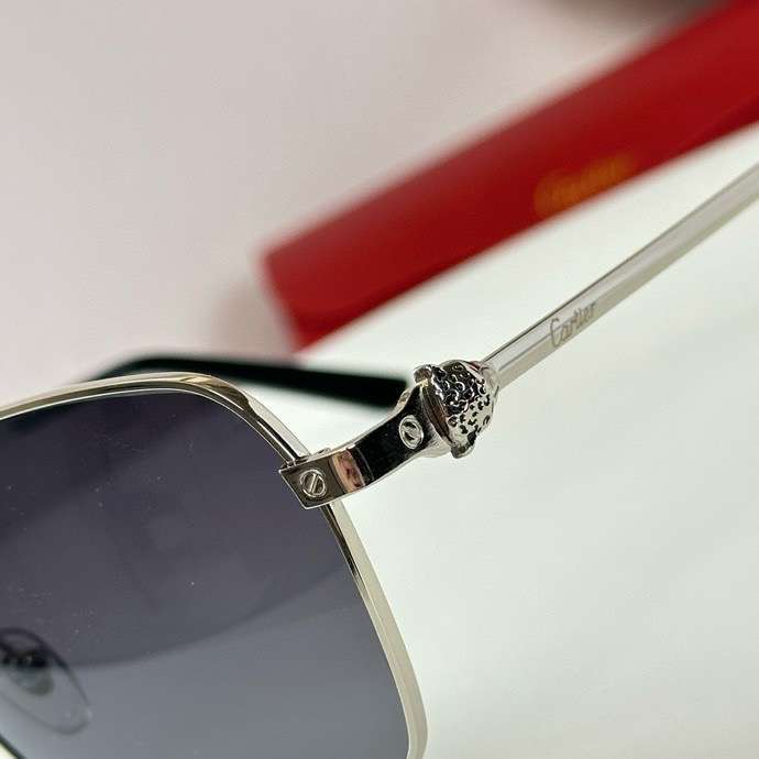 Picture of Cartier Sunglasses _SKUfw55562154fw